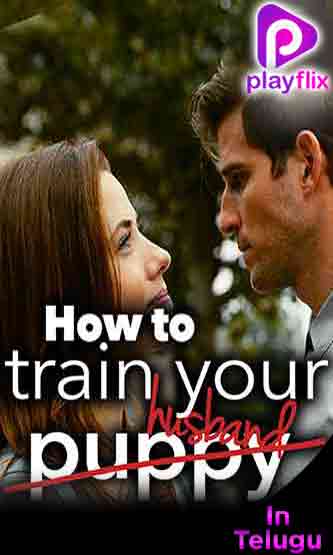How To Train Your Husband