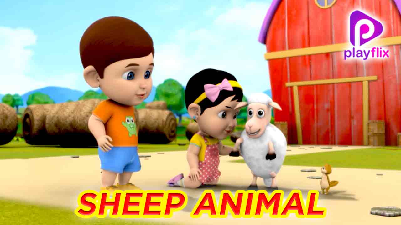 Sheep Animal Rhyme