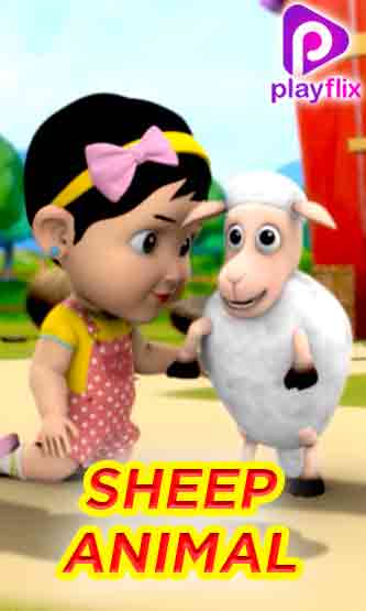 Sheep Animal Rhyme
