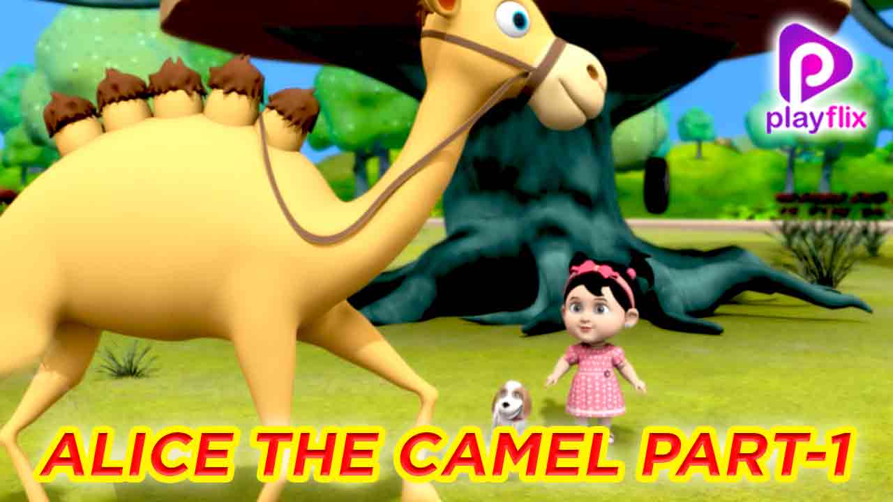 Alice the Camel Part 1