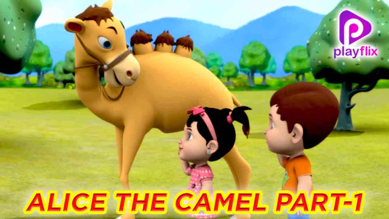 Alice the Camel Part 1
