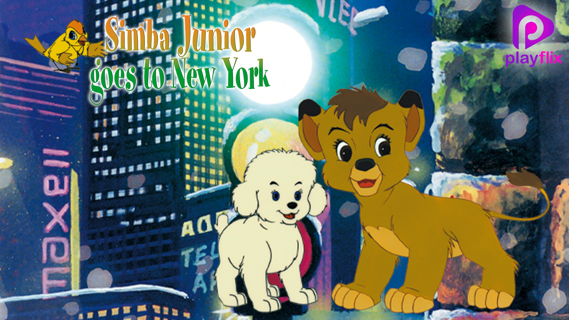 Simba Jr-In New York