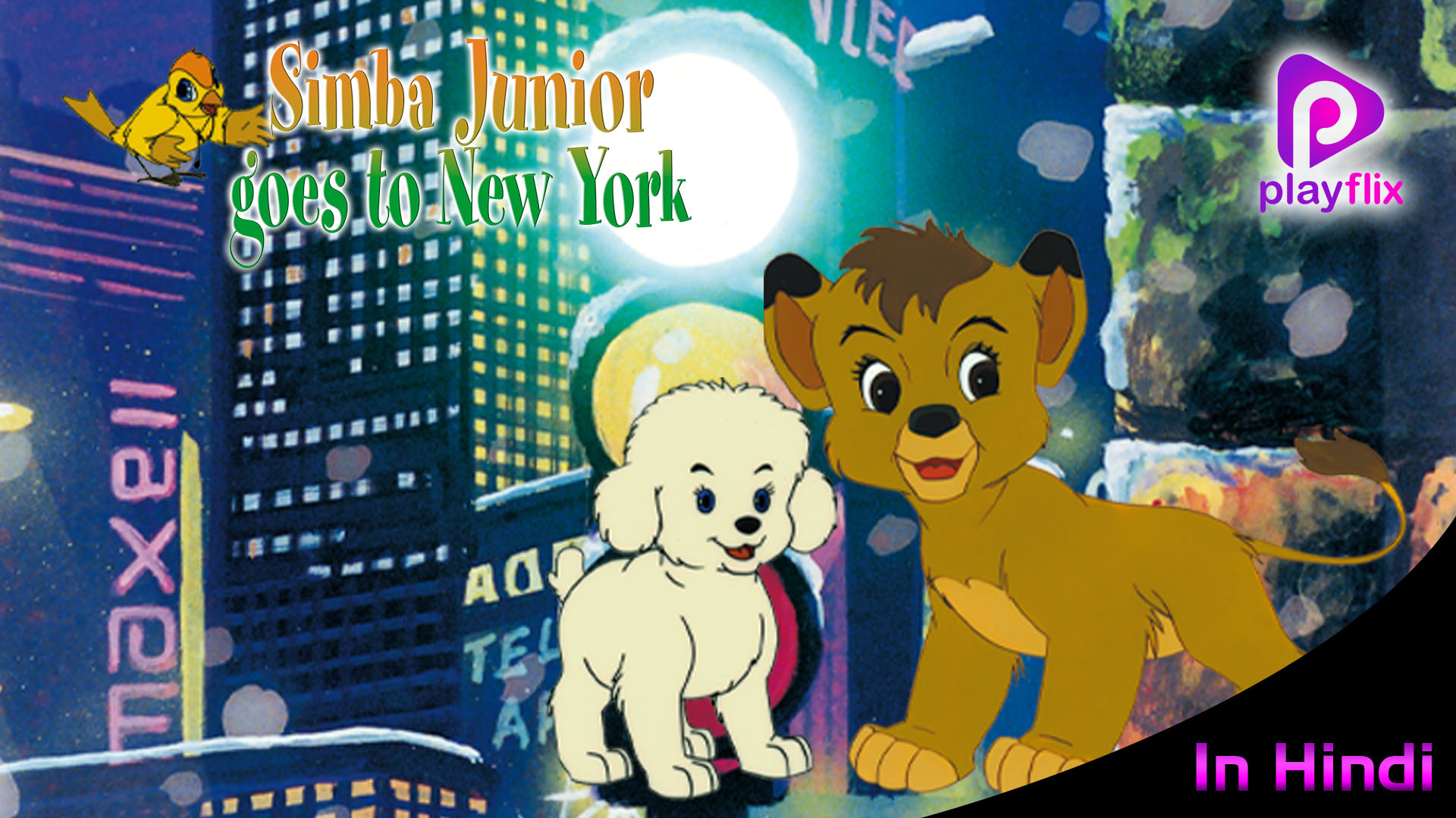 Simba Jr-In New York